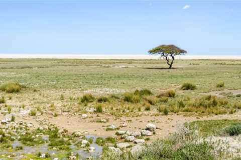 Luxury Fly-In Namibia Safari Tour at a Glance