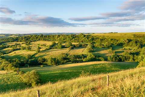 Investing in Dorset’s Future