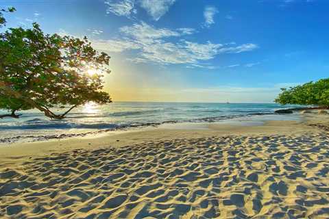 8 of the Top cruises to Aruba, and what to expect