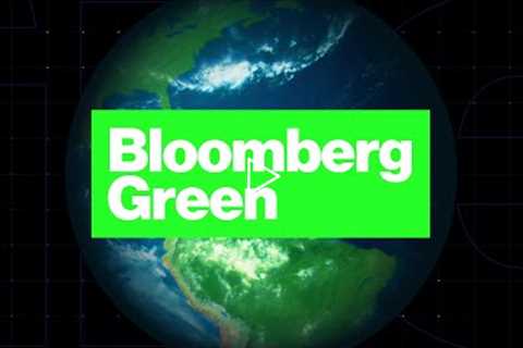 Bloomberg Green: Sustainable Vacations and the Rise of Ecotourism
