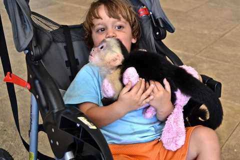 Jungle Island Zoo in Miami FL: Things To Do and Info – Much More Than a Zoo