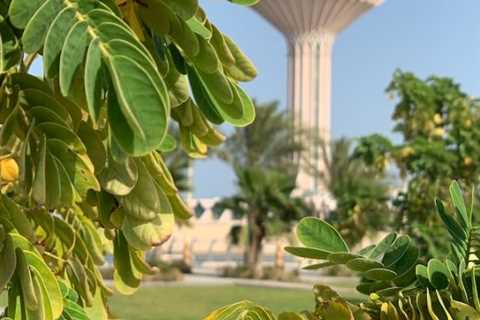 Top Attractions, Eateries, and Chalets in Al Khobar