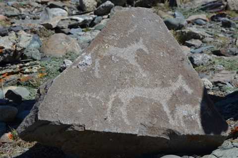 Deer Cave Paintings Of Mongolia: The Altai Mountain Cave Painting Complex