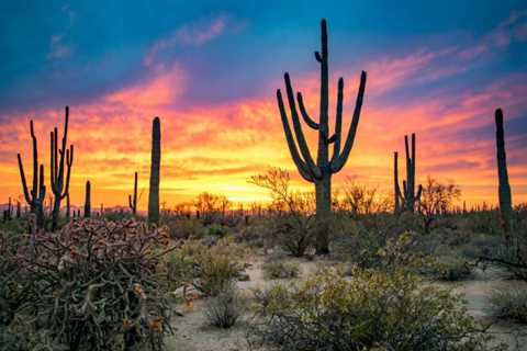 Hiking and Taking in Desert Views