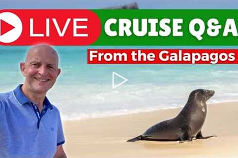 Live Cruise Q&amp;A #81 from Ecuador Galapagos. Sunday 20 November 2022
