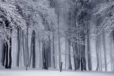 The Coldest Cities of each Continent – DC – Ecology &amp; Travel Group
