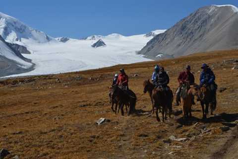 8 Horse Riding Tips For Beginners