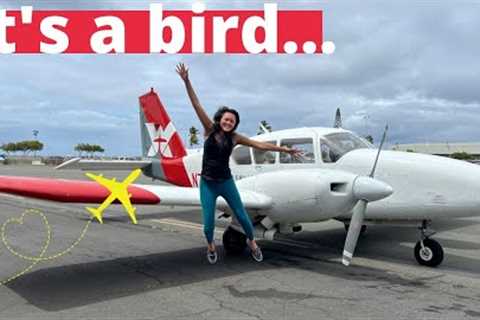 Up, up, and AWAY | PRIVATE scenic flight by Plane | OAHU