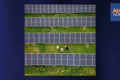 Hawaiian Electric selects 3 solar projects on Big Island to lower bills for low/moderate customers