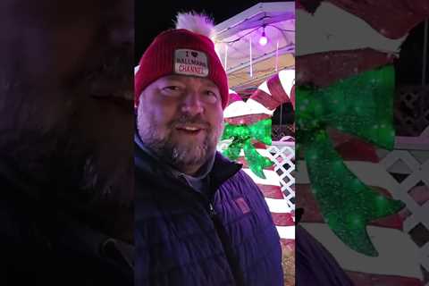 New Videos & Blogs EVERY DAY UNTIL CHRISTMAS!
