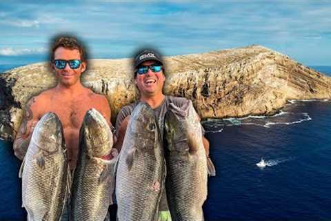 Spearfishing Hawaii''''s Last Secret Island (Giant Fish!)