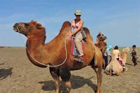 4 days Gobi Express Tour - Mongolian Tours