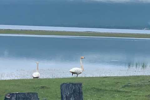 Khuvsgul Lake Tour - Mongolian Tours