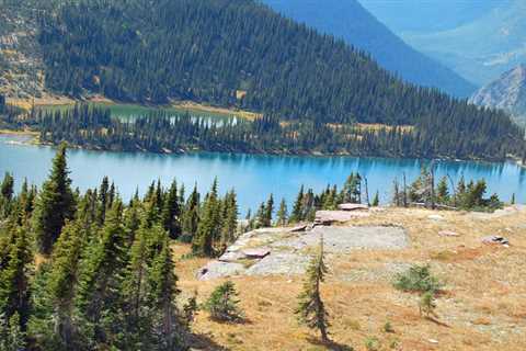 The Largest National Parks in the United States