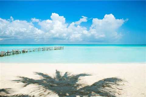 Forecast Predicts Mexican Caribbean To Be Sargassum-Free In February