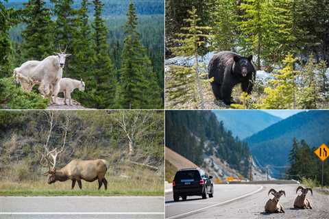 Visit the Rocky Mountains and Vancouver, Canada