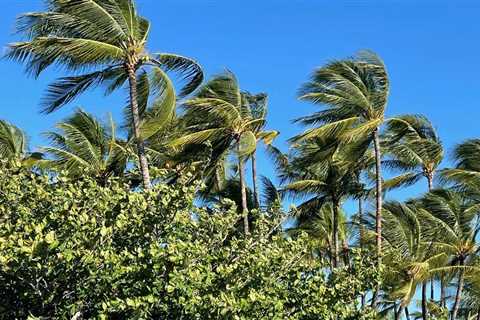Hawaii County Surf Forecast for February 27, 2023