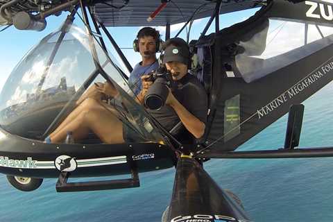 A Career That Matters: Environmental Jobs for Scuba Divers