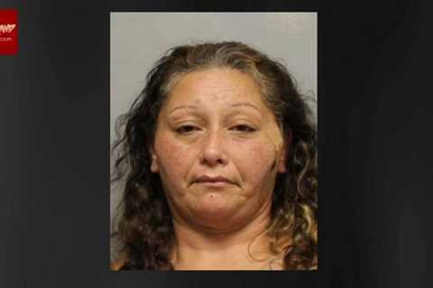 Puna woman sentenced to 10 years in prison for methamphetamine charges