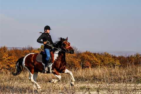 How to Prepare for a Horseback Riding Vacation