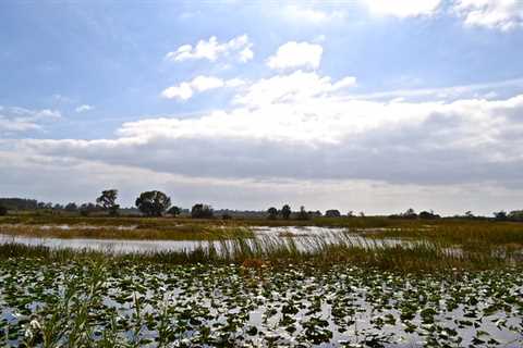 Top 5 Best Things To Do in Loxahatchee Park In Florida