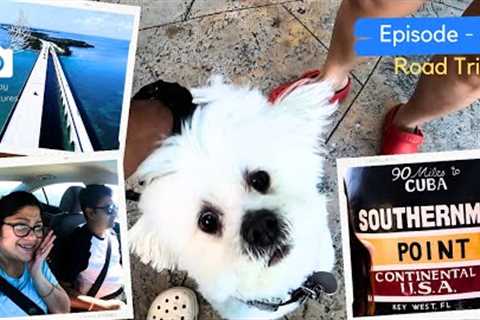 Episode - 3 - To Kanyakumari of America | Road Trip to Florida Series | Bengali Travel Vlog in USA