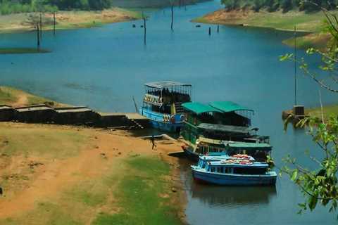 Exploring the Beauty of Periyar Lake