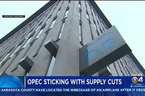 OPEC Maintains Oil Production Targets Amid Uncertainty Over Russian Sanctions