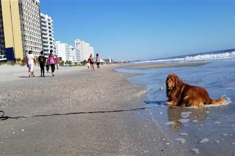 Exploring the Best 4-Star Hotels in Myrtle Beach