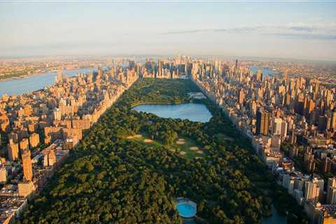 The Urban Landscape of New York City: How Central Park and Other Parks Contribute to the City