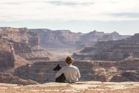 Useful Tips for Choosing the Best Pet-Friendly Accommodation