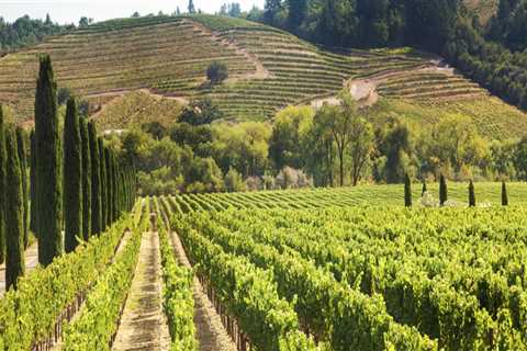 Are wineries in napa open year round?