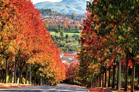 What is San Ramon, California Known For?
