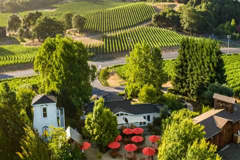 Where are most vineyards located in the us?