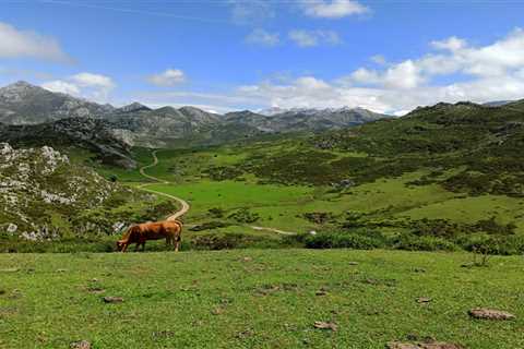 Europe’s National Parks: The Continent’s Most Stunning Areas