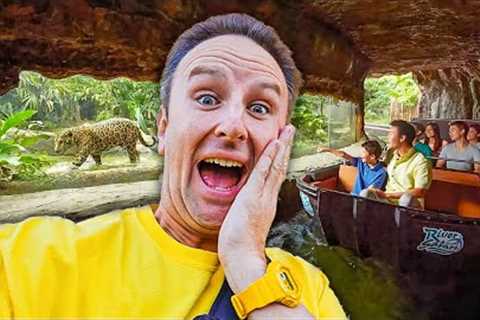 Singapore Zoo &amp; Sentosa! 48 Hours in Singapore - Solo Travel Vlog Part 2