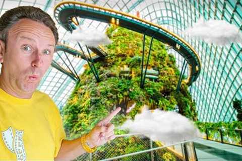 Gardens By the Bay &amp; Little India! 48 Hours in Singapore - Solo Travel Vlog Part 3