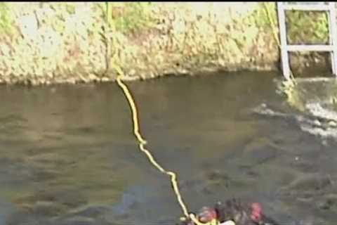 Man pulled from canal after car accident in Miami, condition unknown, police say