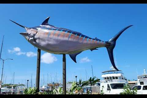 Honolulu Harbor &amp; Beach | Relaxing Music | #hawaii #honolulu #ocean #beach