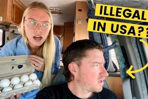 TROUBLE AT CANADA/USA BORDER CROSSING... (RV Life Travel Vlog)