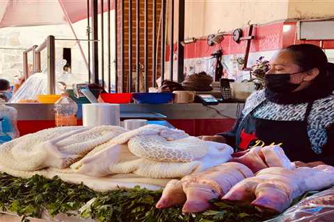 Food in Oaxaca: Markets, Food Stands and Traditional Cuisine