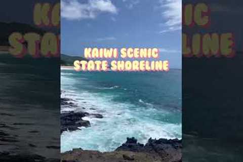 Must SEE Beaches when visiting Honolulu, Hawaii #shorts #hawaii #honolulu #oahu
