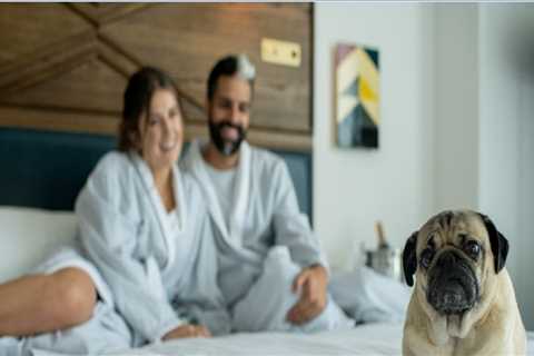 Pet-Friendly Communities in Nashville, Tennessee: Explore the Music City with Your Furry Friends