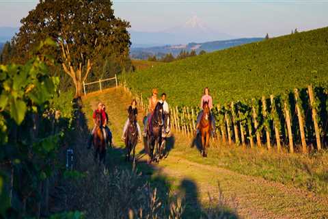 Are wine tours free?