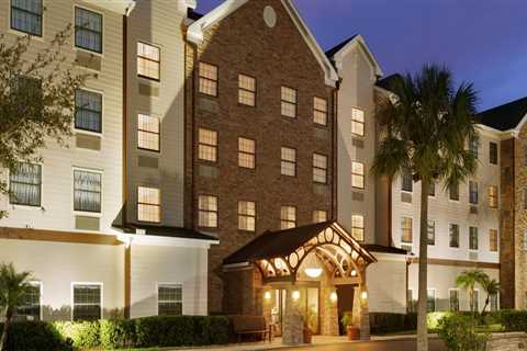 The Best Pet-Friendly Hotels in Tampa, Florida - A Guide for Pet Owners