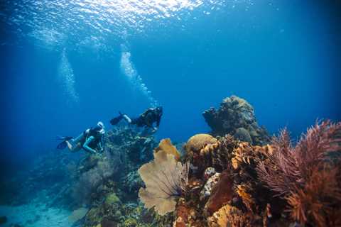 Scuba Diving Magazine Editors Recall Why They Learned to Dive