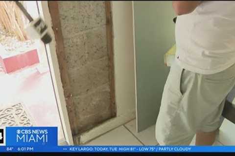 Historic flood in Fort Lauderdale gives way to black, 'smelly mold'