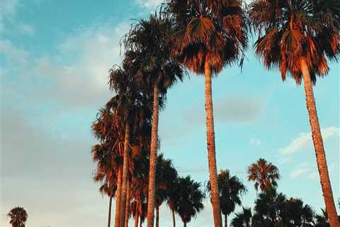 Free Things to Do in LA