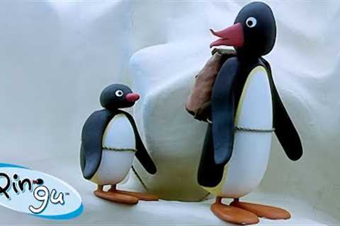 Pingu Goes on Trips 🐧 | Pingu - Official Channel | Cartoons For Kids