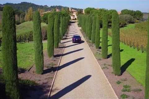 Indulge yourself in Napa Valley